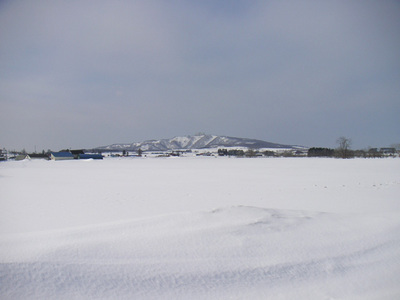 130326雪景色2.JPG