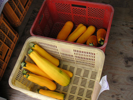 130903野菜直売所4.jpg