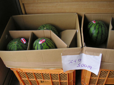 130903野菜直売所6.jpg
