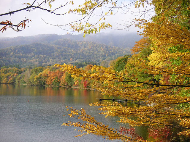 紅葉が見ごろです 北海道 洞爺湖のほとりで