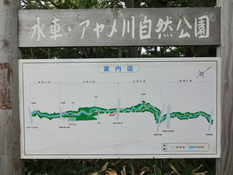 140619アヤメ川公園 (10).JPG