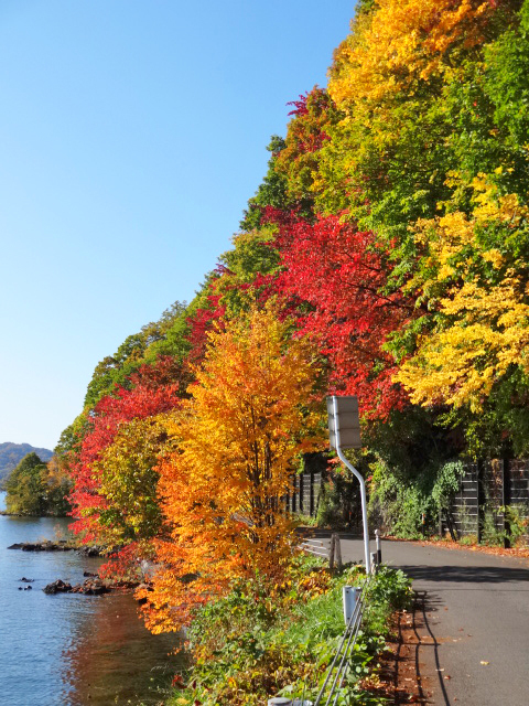 洞爺湖は紅葉シーズンです 北海道 洞爺湖のほとりで