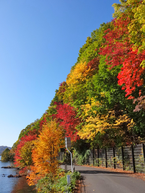 洞爺湖は紅葉シーズンです 北海道 洞爺湖のほとりで